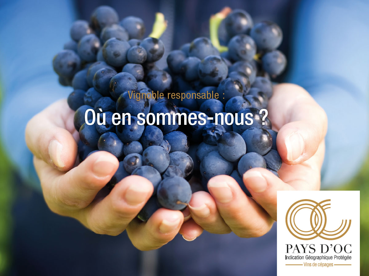 Po Une
